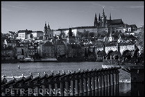 1 položka z fotogalerie, malé (thumbnail) ukázkové foto. Karlův most a Pražský hrad